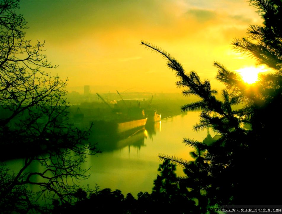 Summer Morning wallpapers Crazy Frankenstein Summer Morning wallpapers Crazy Frankenstein