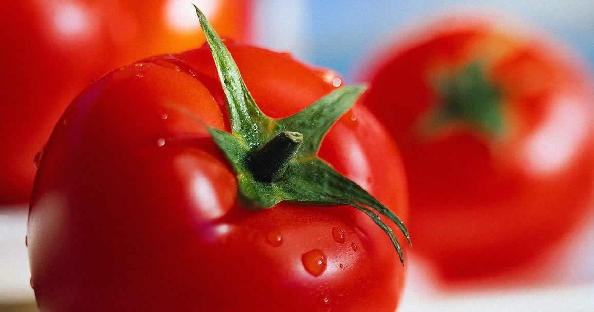 Tomatoes Rich Source of Vitamins and Minerals CureZone