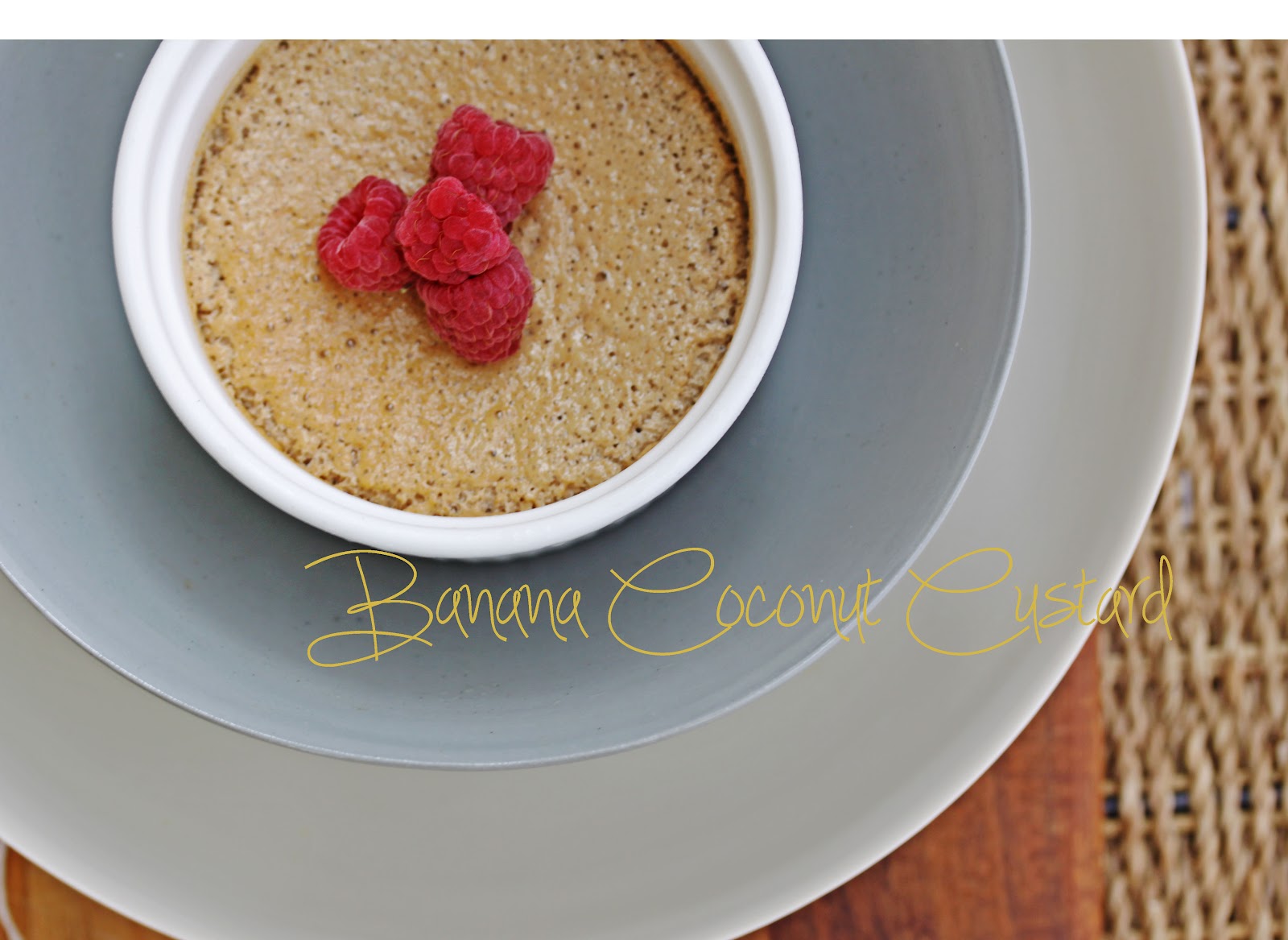 Dairy Free Banana Coconut Custard