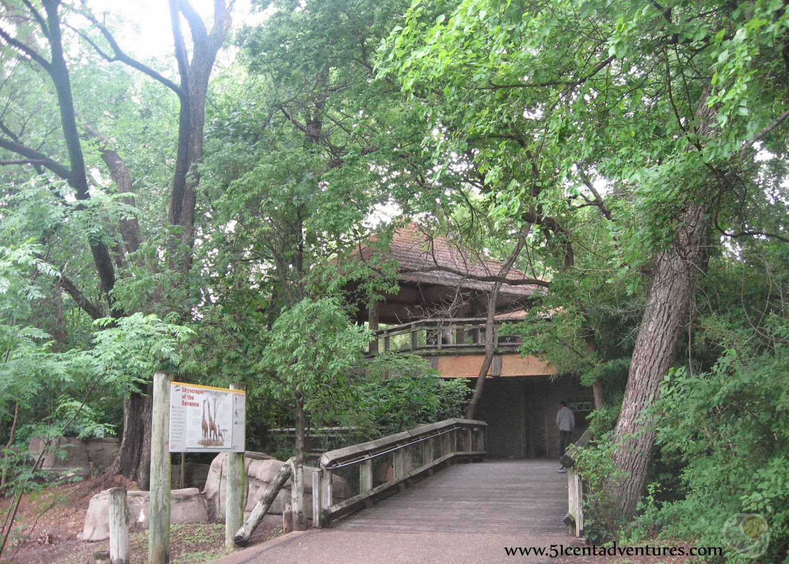 51 Cent Adventures Cameron Park Zoo Waco, Texas
