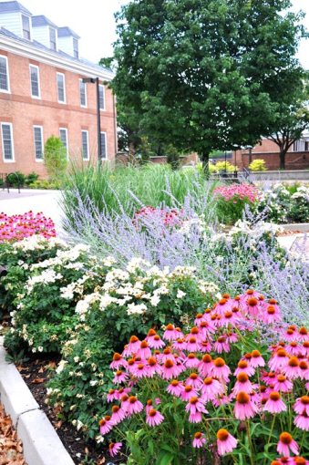 Tawes Plaza Gardens