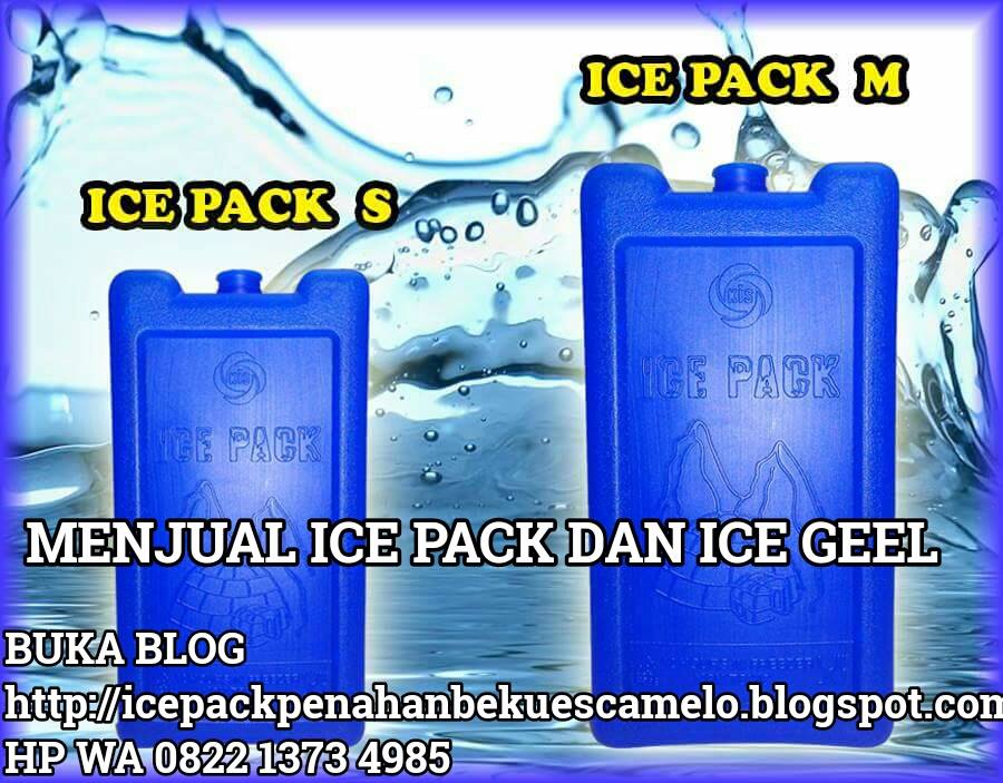 ICE PACK MENAHAN BEKU ES CAMELO DALAM BOK TERMOS  BEKU 10 JAM