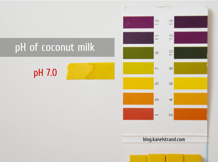 Homemade Shampoo Review Coconut Milk and Aloe Vera