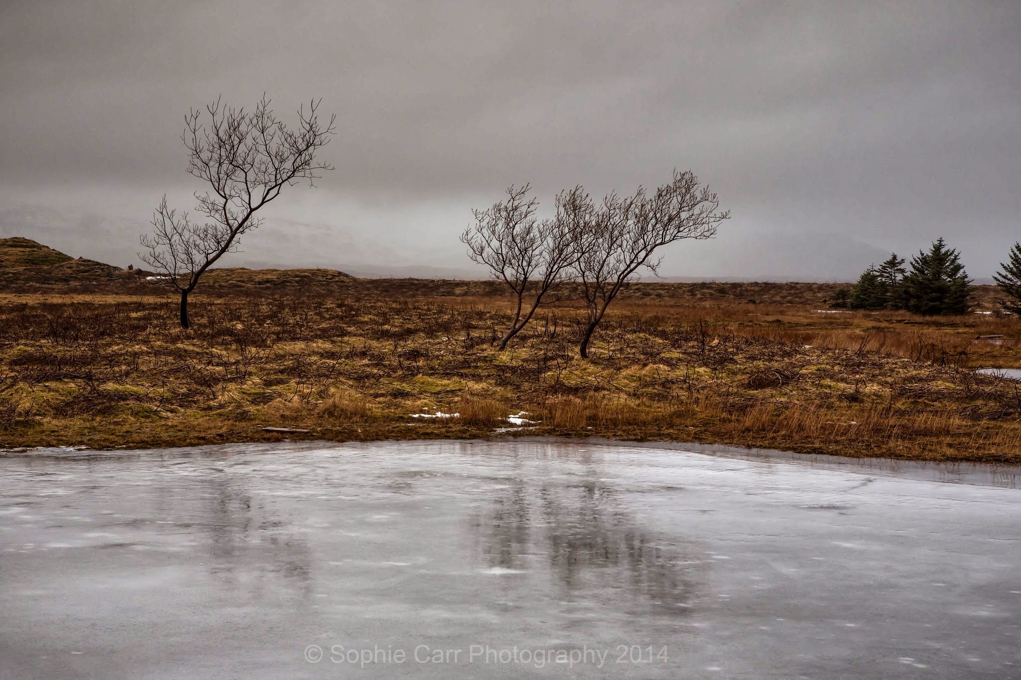 Sophie Carr�s Photo Blog Iceland 2014 Day 3 From Höfn to