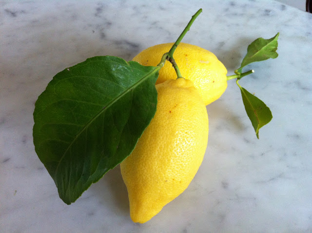 lemons_campania_Italy