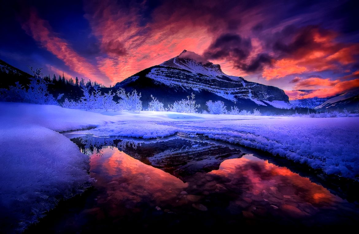 Winter Vibrance wallpaper Winter Vibrance wallpaper