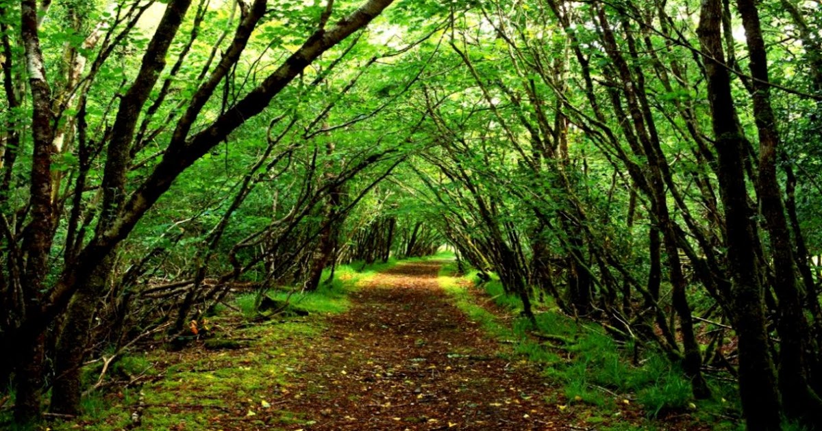 Scenic Wallpapers For Desktop | All HD Wallpapers