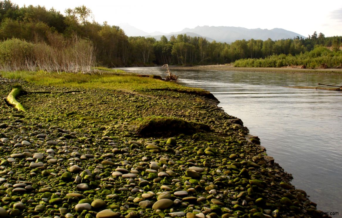 What we do River Studies What we do River Studies