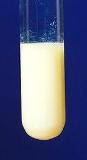 agbr precipitate color agbr precipitate color