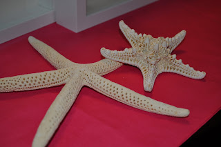 A Lived in Home: Shadow Box Art