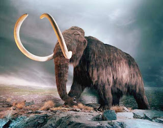 woolly-mammoth.jpeg