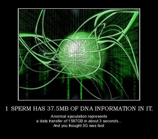 One+sperm+has+37.5MB+of+DNA+information+in+it.jpg