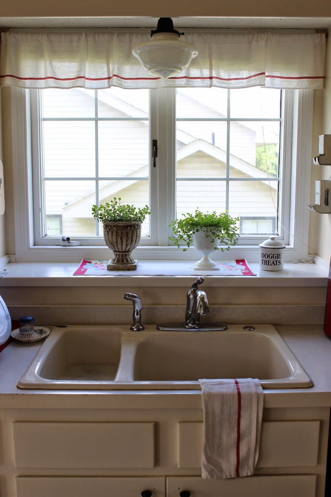 Happy At Home Windowsill Plants
