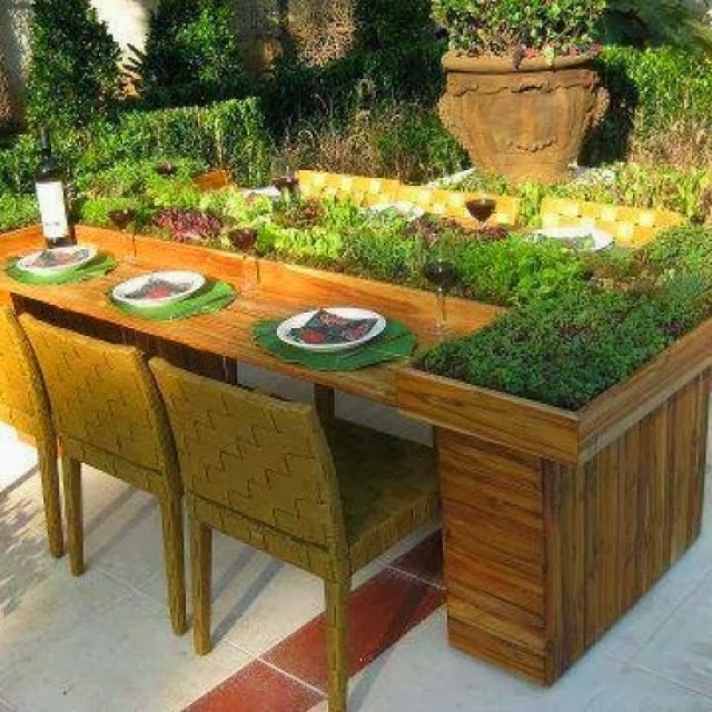 Astute Homestead Herb Garden on table