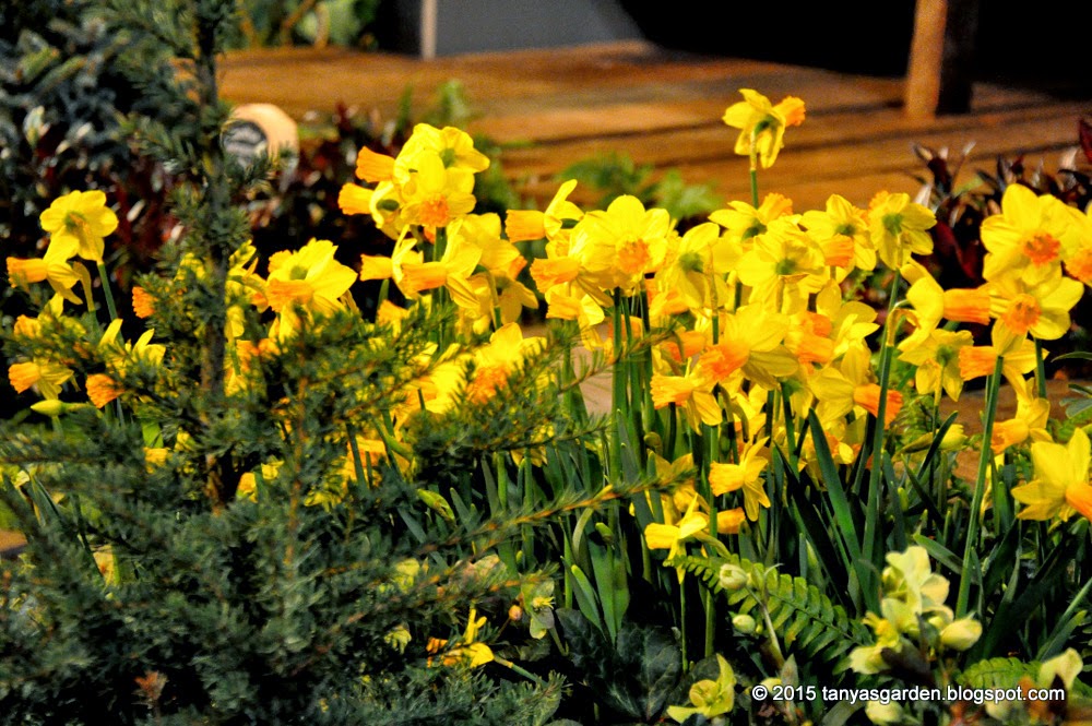 MySecretGarden: Northwest Flower & Garden Show - 2015. Several Gardens