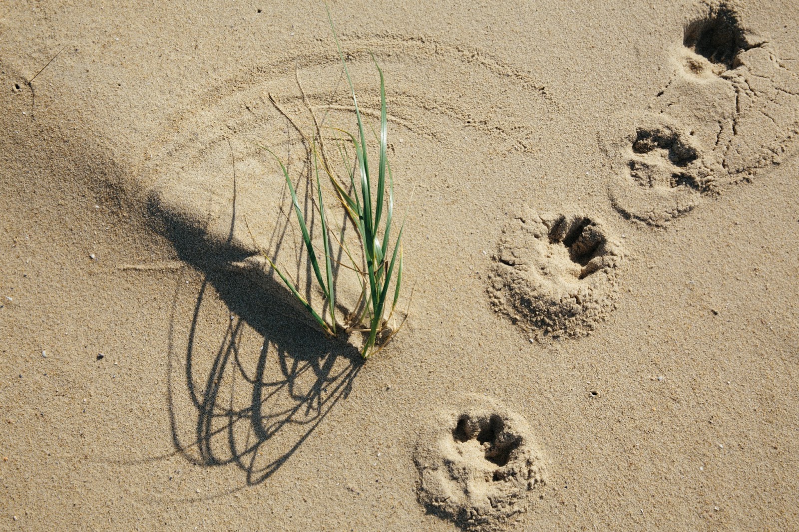 Wasserfest Und Warm Dabei Mein Herbst Winterstiefel An Der Kuste