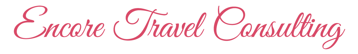 The Travel Business Stylist