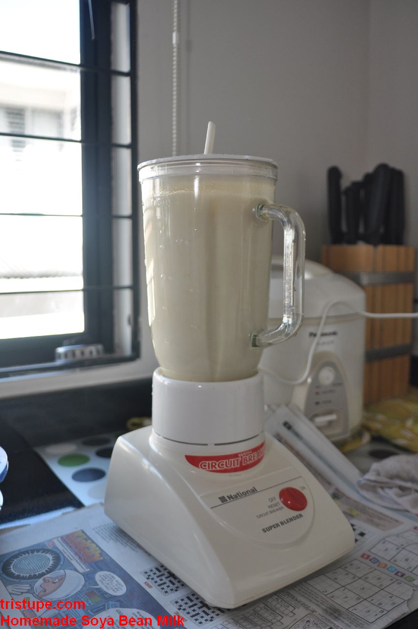 Homemade Soya Bean Milk