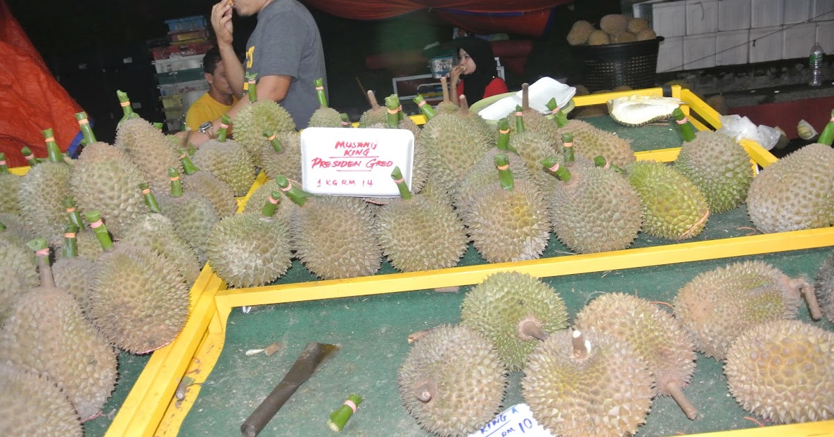itqan Kemajuan teknologi hijau di Melaka