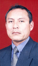 Prof. Jaime Flores Fuentes