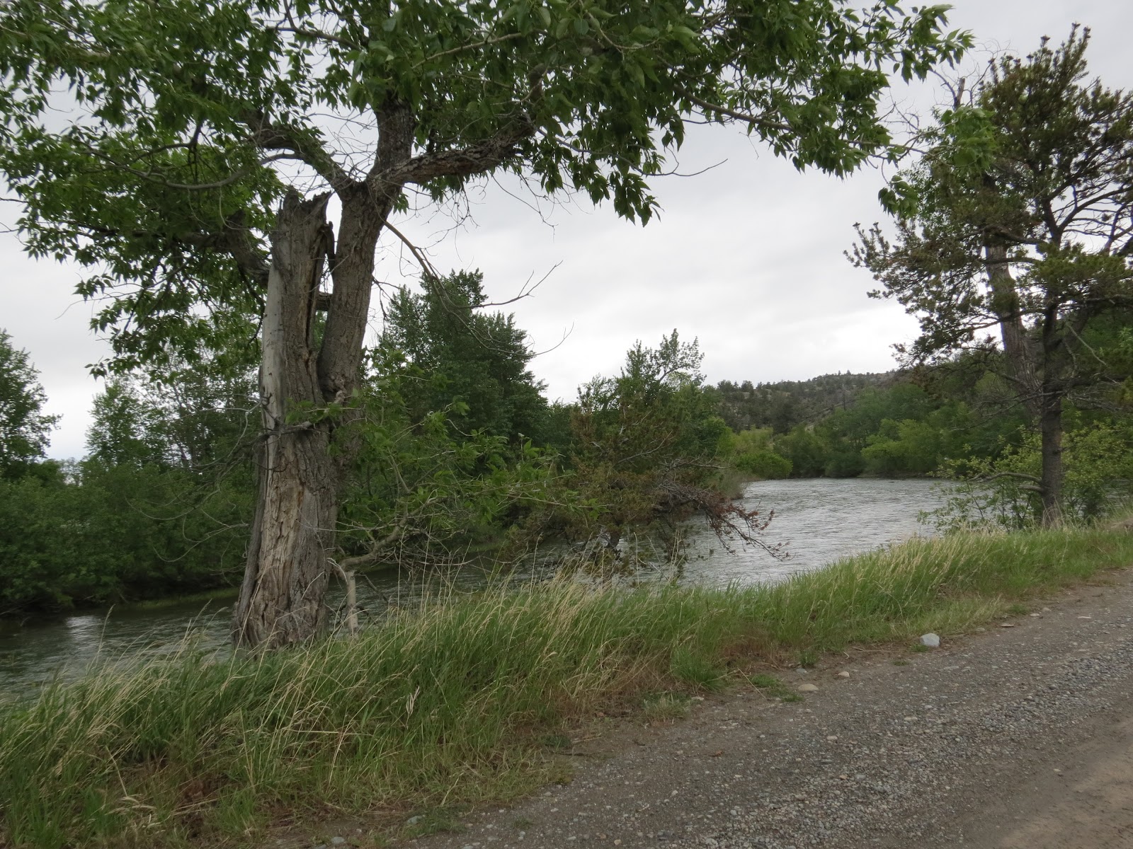 Where's Liz2012? Big Timber, Montana