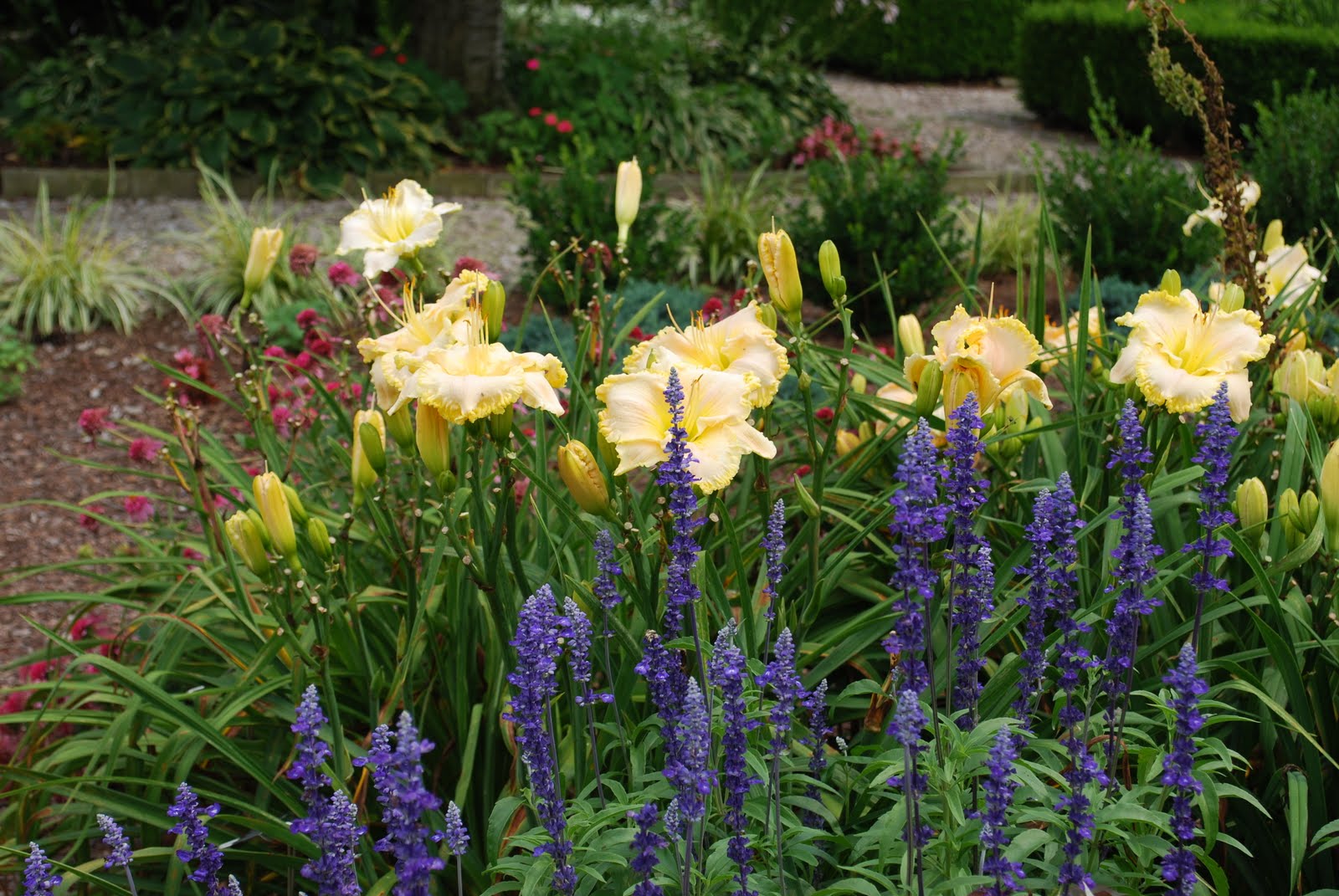 Country Garden Home: Daylily Companions
