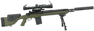 US Army Squad Designated Marksman Sniper Rifle