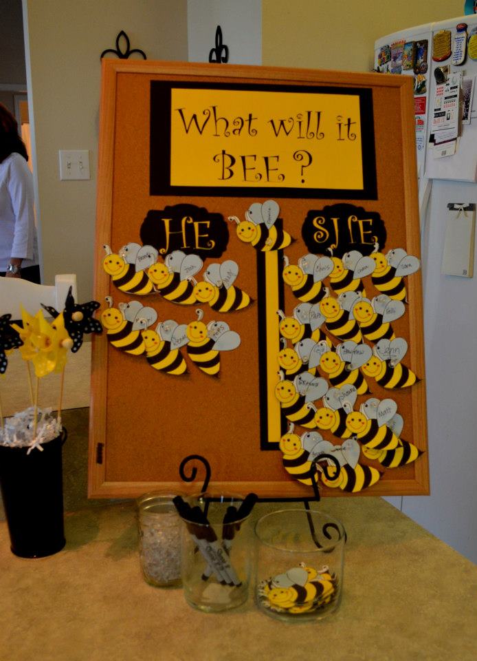 The Adventures of E Squared: Gender Reveal Party: What will it bee?