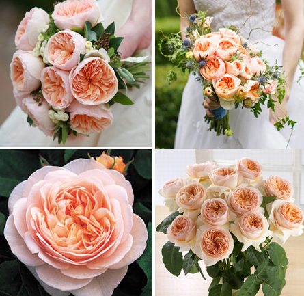 A Sweet Soiree Blogspot: Weekly Obssessions - BHLDN, Holman Ranch