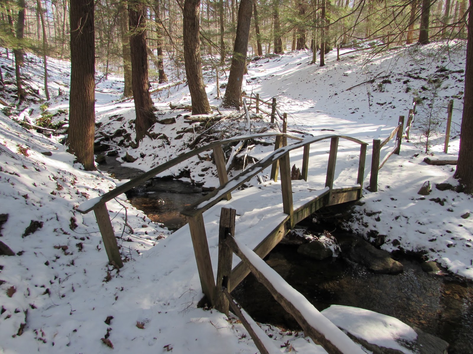 Linn Run State Park, Ligonier, PA, Westmoreland County Interesting