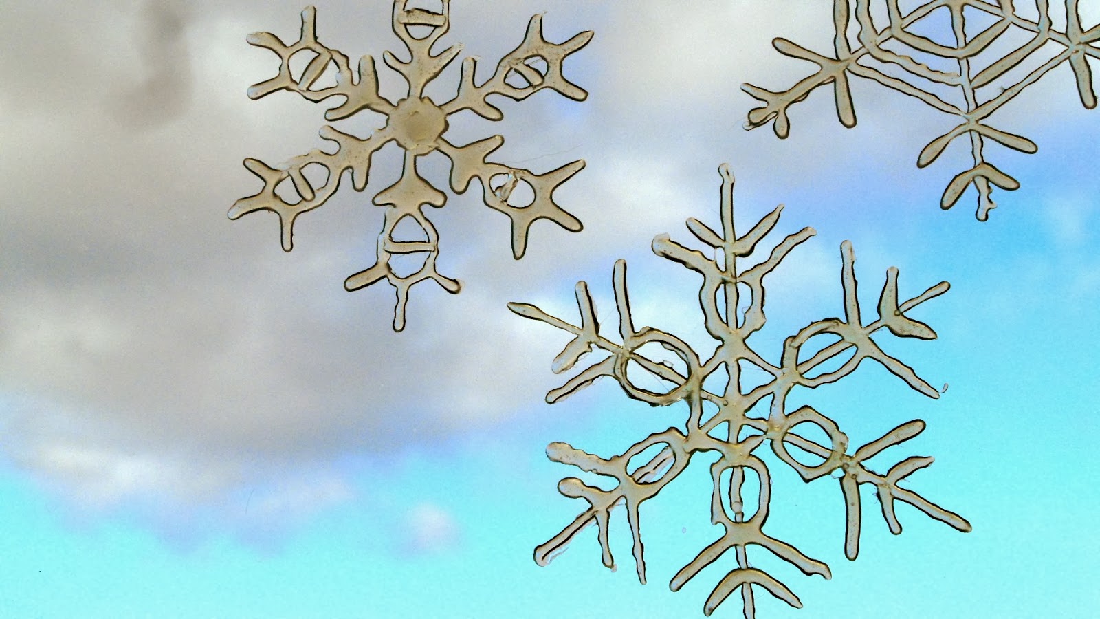 Giddy Up Snowflakes that don't Melt