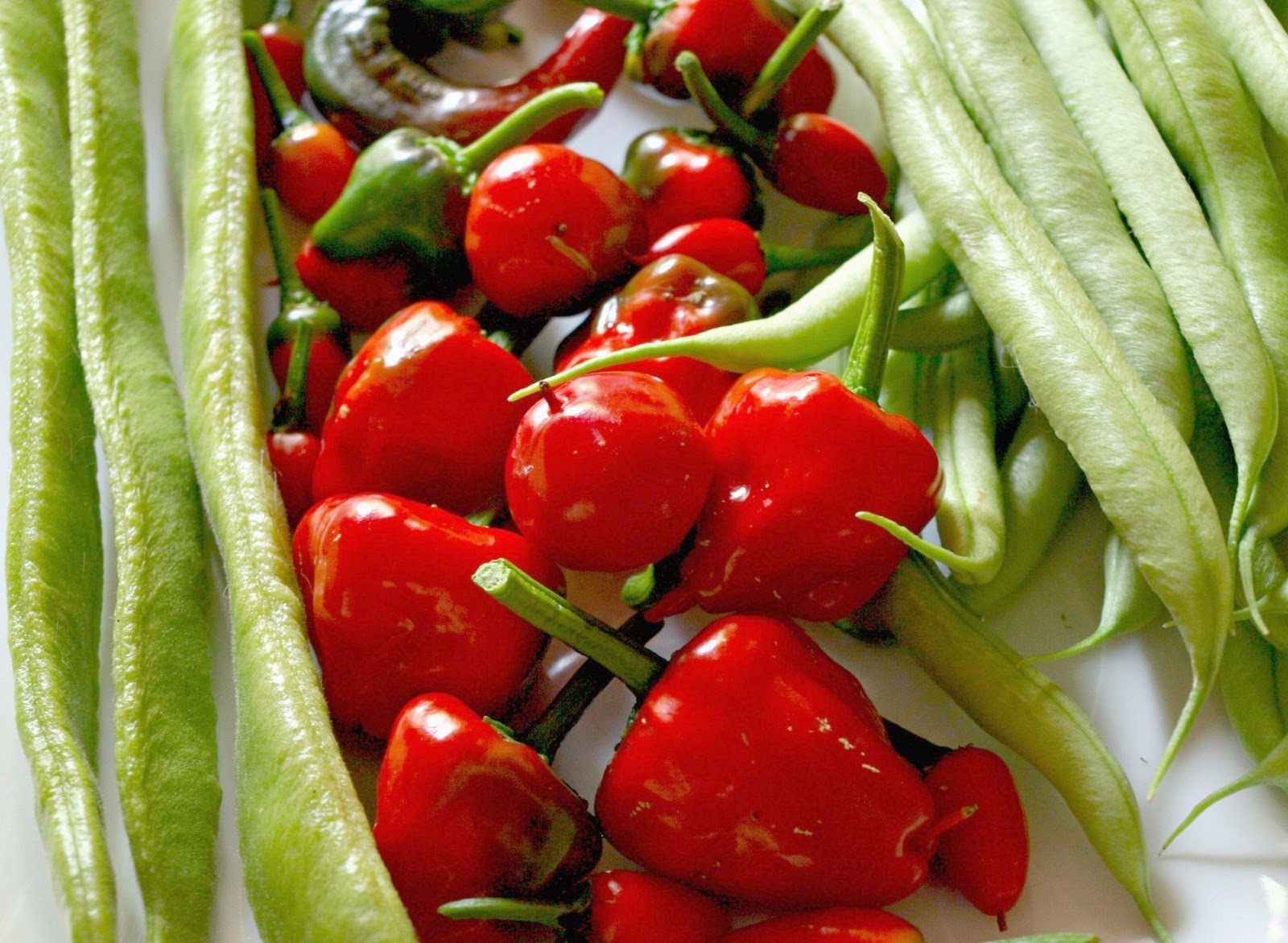 Mark's Veg Plot Chilli Relish