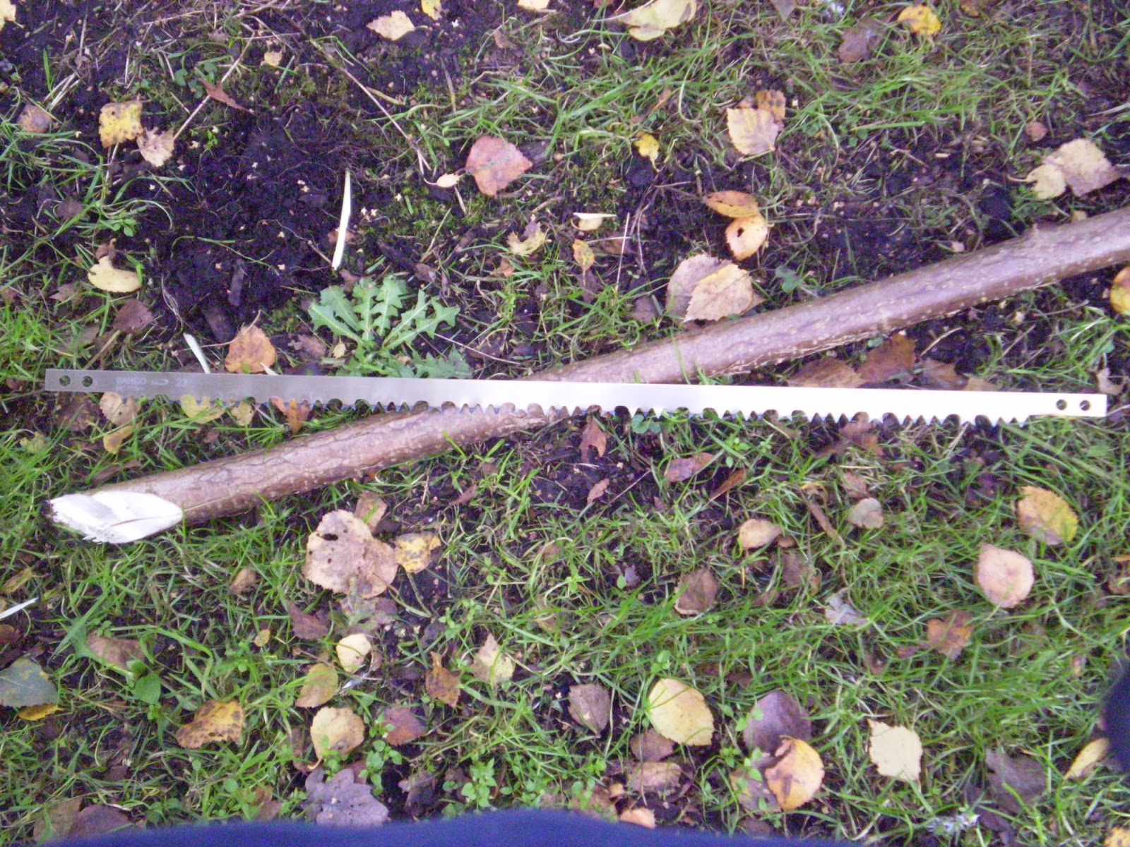 Bushcraft Education How to make a bow saw