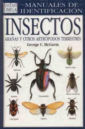 Manual de identificación de Insectos