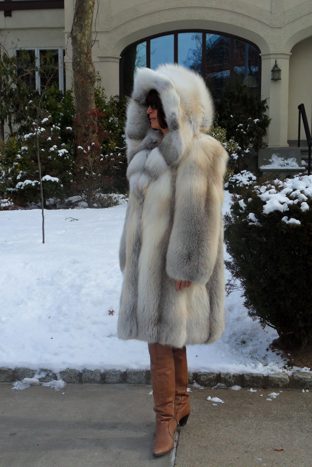 Fox Coat