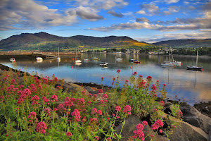 Warrenpoint moorings