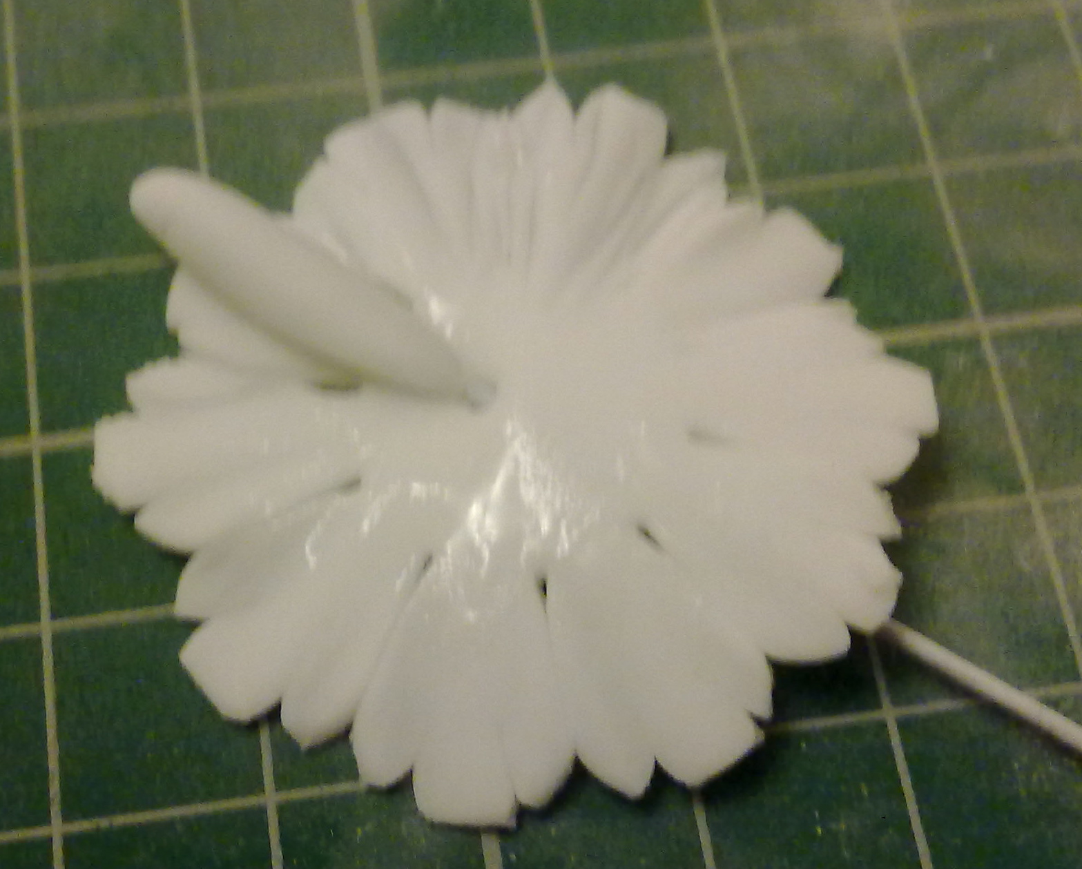 BakerLou How to make Sugar Carnations, stepbystep tutorial