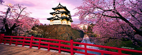 Melancong percuma ke Osaka Jepun bersama Sahajidah Hai-O Marketing melawat Taman sakura