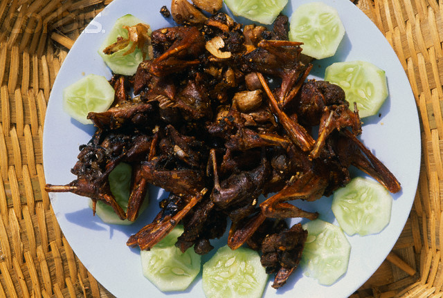 Most Exotic Foods in the Philippines ~ Mobile Price Watch