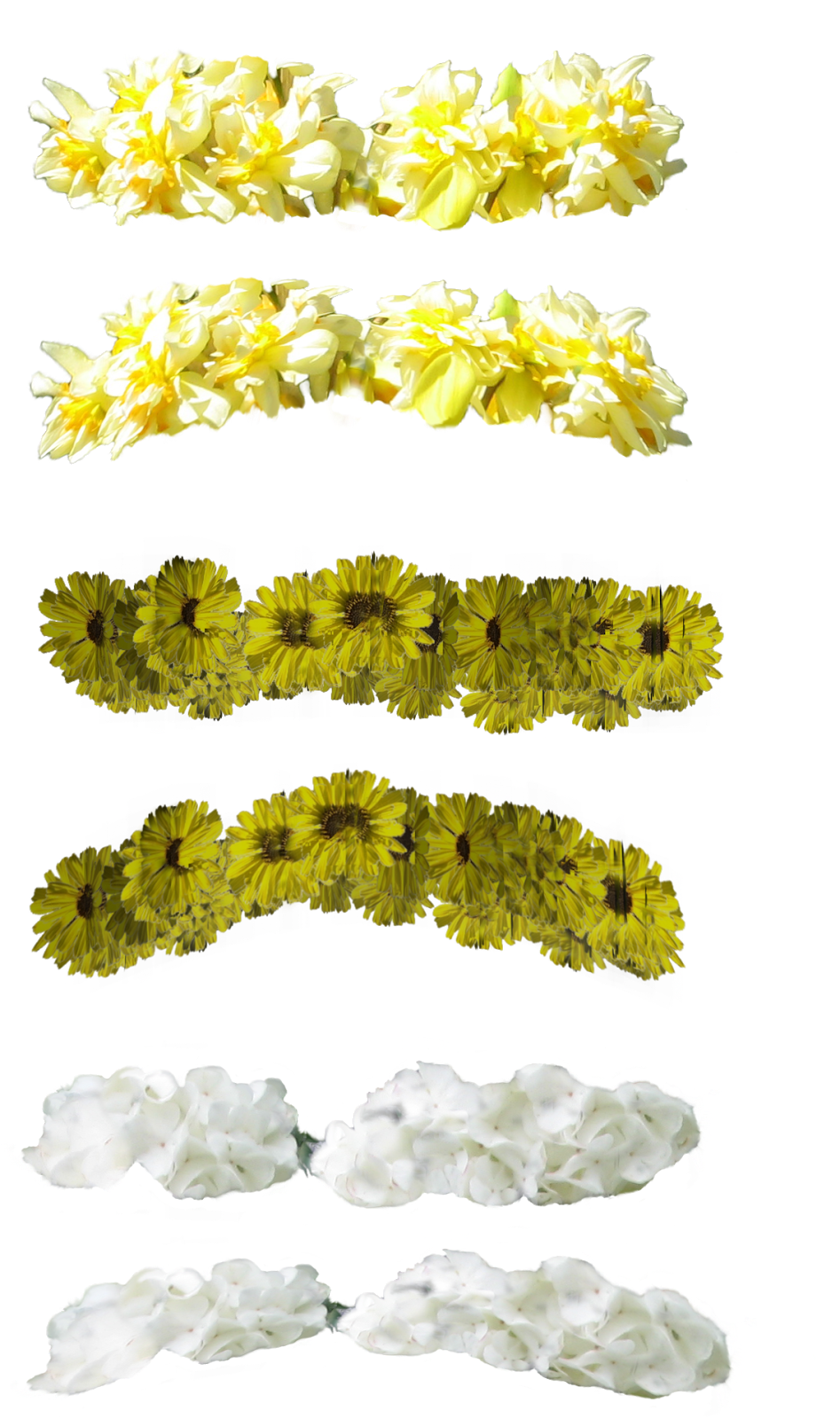 Recursos [B.D]: Coronas de flores PNG (16)