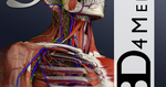 essential anatomy android essential anatomy android