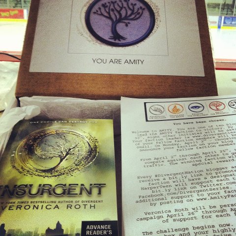 insurgent book report insurgent roth book 3 insurgent book report insurgent roth book 3
