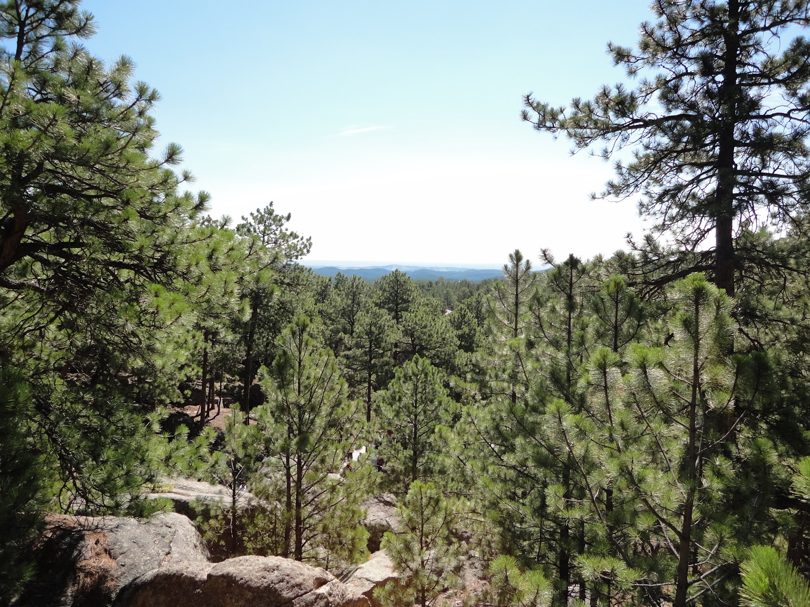 Rapid City