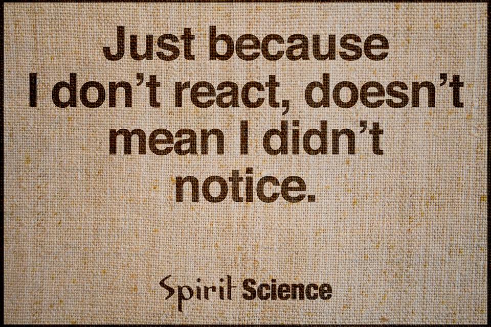 Just Because i don't react, doesn't mean I didn't notice. Spirit Science Quotes