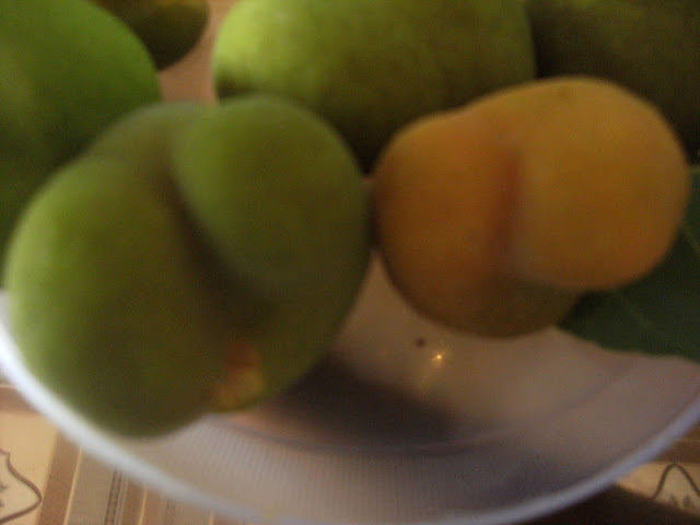 [Hình: DSCF2769.JPG]