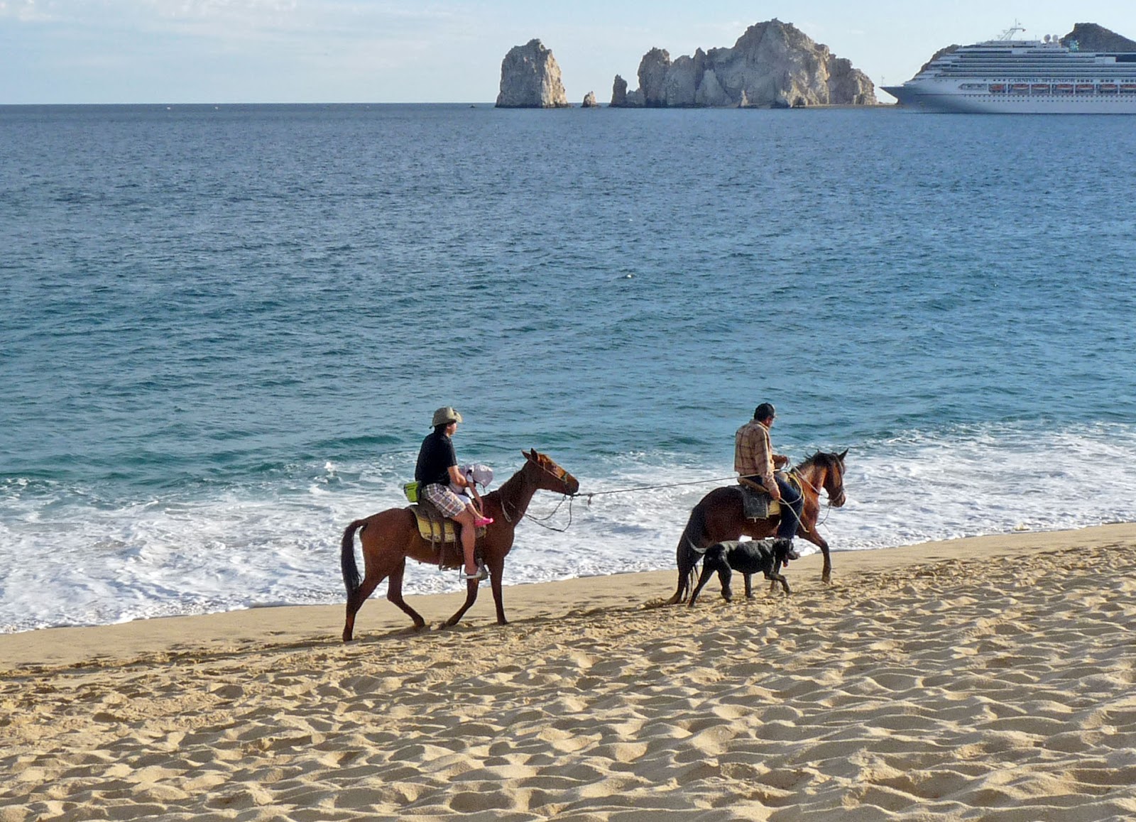 beach and horse
