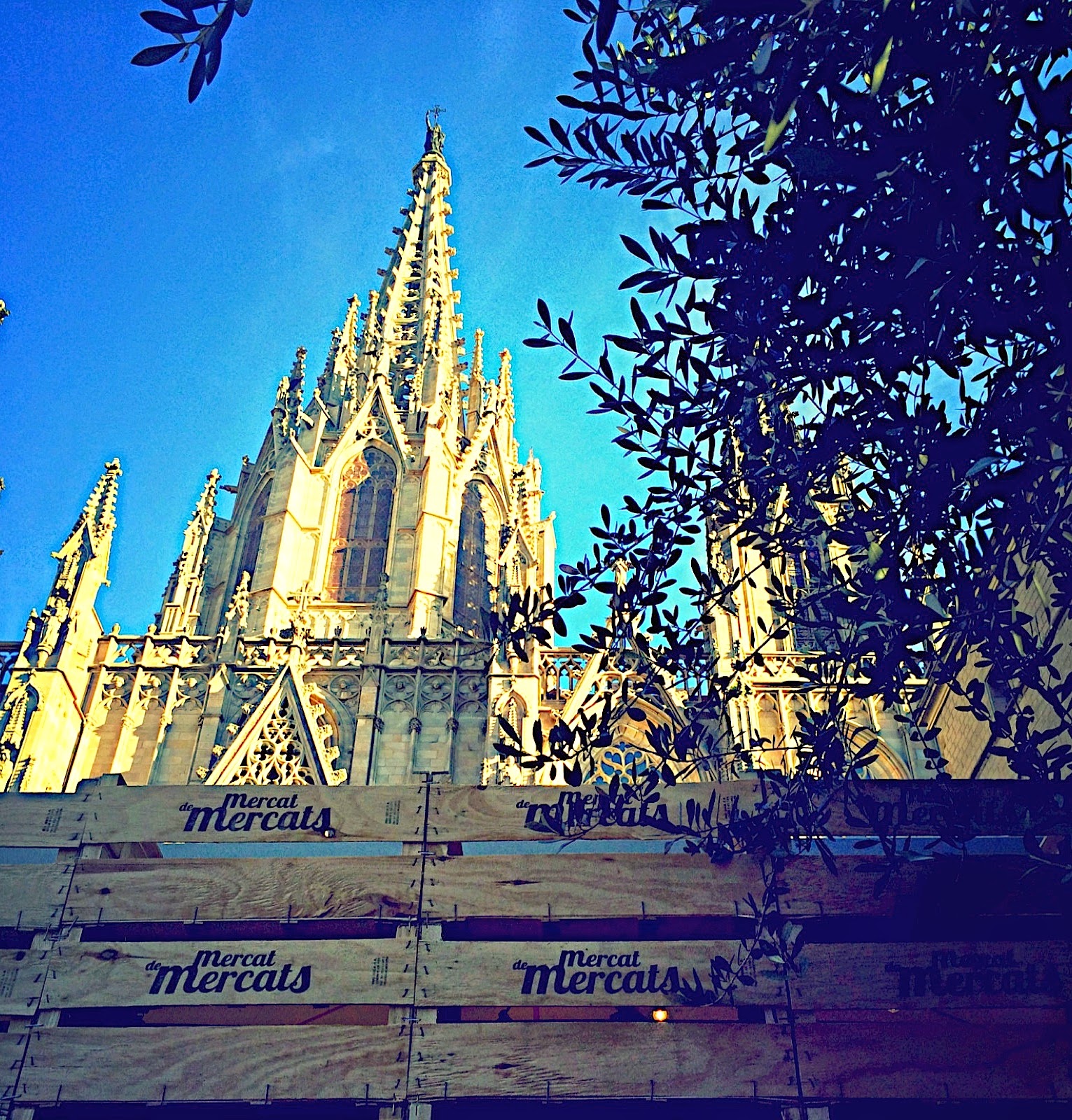 Mercat de Mercats 2014. La gran fiesta del producto y la gastronomía de Barcelona