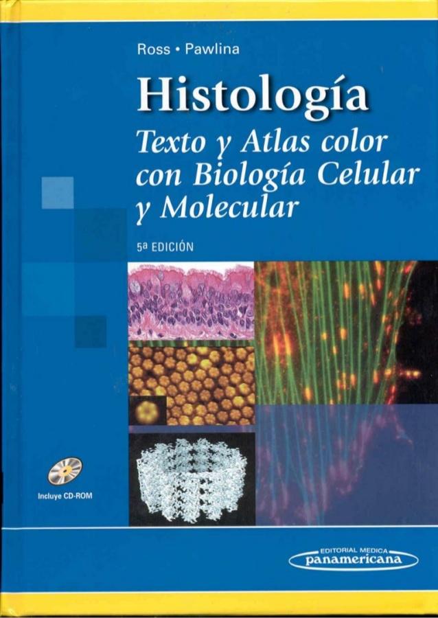 Pdf biologia molecular