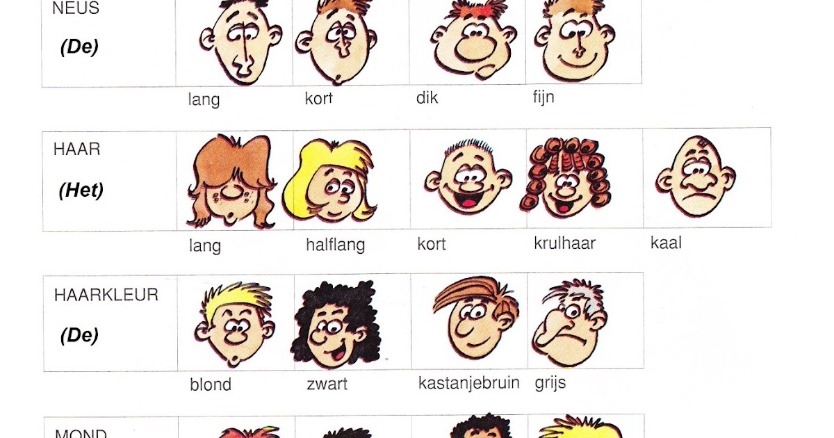 Extra ;) Iemand beschrijven Apprentissage du vocabulaire 1.