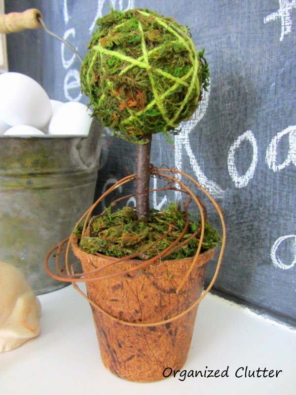 First Time at Hobby Lobby, Spring Snow Storm, Moss Topiary, & a New